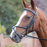 Avignon Leatherwork Avignon Grackle Bridle