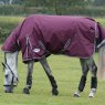 Weatherbeeta Horse Rugs WeatherBeeta ComFiTec Plus Dynamic II Combo Neck Medium Maroon Turnout Rug