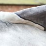 Weatherbeeta Horse Rugs WeatherBeeta ComFiTec Deluxe Diamond Quilt Standard Neck Medium