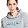 Ariat Riding Apparel Ariat Ladies 3D Logo Hoodie