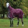 Weatherbeeta Horse Rugs WeatherBeeta ComFiTec Plus Dynamic II Combo Neck Medium/Lite Maroon Turnout Rug