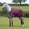 Weatherbeeta Horse Rugs WeatherBeeta ComFiTec Plus Dynamic II Standard Neck Medium/Lite Maroon Turnout Rug