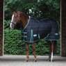 Weatherbeeta Horse Rugs WeatherBeeta Green-Tec Standard Neck Medium/Lite Stable Rug