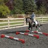 PolyJumps Mini Blocks & 5 Band Poles | Red Combo Set