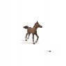 Papo Anglo Arab Foal Toy