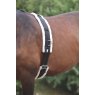 Shires Nylon Lunge Roller with Fleece Padding 