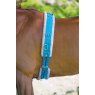 Shires Shires Nylon Lunge Roller with Fleece Padding