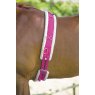 Shires Nylon Lunge Roller with Fleece Padding 