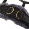 Arma Arma Fleece Lined Lunge Cavesson