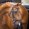 Velociti Lusso Velociti Lusso Ergonomic Curved Flash Bridle