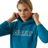 Ariat Riding Apparel Ariat Ladies 3D Logo 2.0 Hoodie Mosaic Blue
