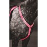 Equi-Flector Shires EQUI-FLECTOR Breastplate