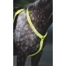 Equi-Flector Shires EQUI-FLECTOR Breastplate