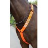 Equi-Flector Shires EQUI-FLECTOR Breastplate