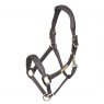 Velociti Rapida Comfort Leather Headcollar