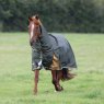 Shires Shires Highlander Plus 50 Combo Turnout Rug Green