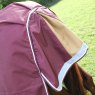 Shires Shires Highlander Plus 100 Turnout Rug Maroon