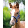 Foal Headcollar