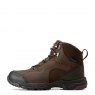 Ariat Riding Boots and Footwear Ariat Womens SkyLine Mid Waterproof Boots Chocolate Brown