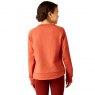 Ariat Riding Apparel Ariat Junior Benicia Sweatshirt Burnt Brick