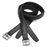 Arena Arena Stirrup Leathers