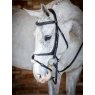 LeMieux LeMieux Kudos Grackle Bridle