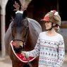 Equetech Equetech Rory Robin Hat Silks