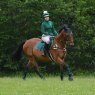 Woof Wear Woof Wear Performance Riding Shirt British Racing Green