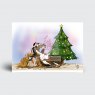 Emily Cole Emily Cole Christmas Cards