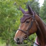 Equetech Equetech Performance Soundless Ear Hood