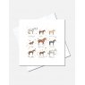 Eleanor Tomlinson Horse Breeds Greeting Card
