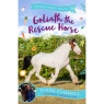 Goliath The Rescue H