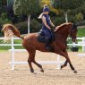 Aubrion Aubrion Team Sleeveless Baselayer Midnight