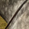 Townfields Leatherwork Townfields Henley English Bio Reins