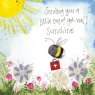 Alex Clark get Well Sunshine Greeting Card