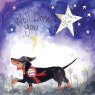 Alex Clark Starlight Sausage Greeting Card