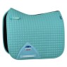 Light Aqua