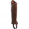 Ariat Riding Boots and Footwear Ariat Concord Half Chaps