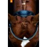 Schockemohle Sports Schockemohle Stanford Anatomic Snaffle Bridle