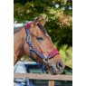 LeMieux LeMieux Vogue Headcollar and Leadrope Burgundy/Navy