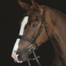 Collegiate Collegiate Mono Crown Padded Raised Cavesson Bridle