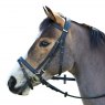 Wintec Flash Bridle