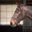 Velociti Gara Comfort Fit Bridle in Black