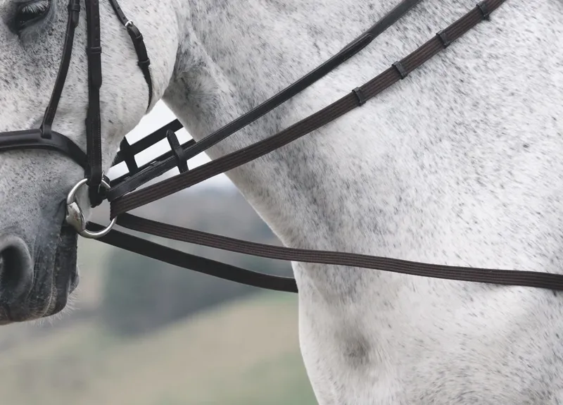 Velociti Gara Cotton Web Draw/Running Reins 288cm x 7/8 in Black