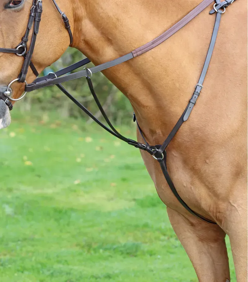 Velociti Gara Hunt Weight Breastplate in Havana Brown