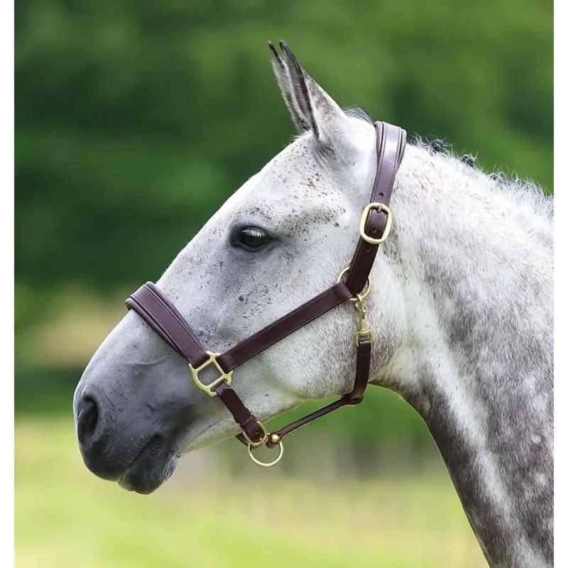 Velociti Gara Leather Travel Headcollar in Havana Brown