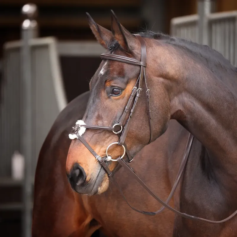 Velociti Gara Mexican Bridle in Havana