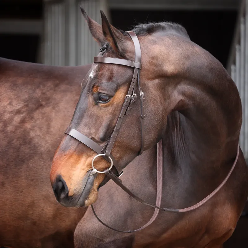 Velociti Gara Plain Bridle in Havana Brown