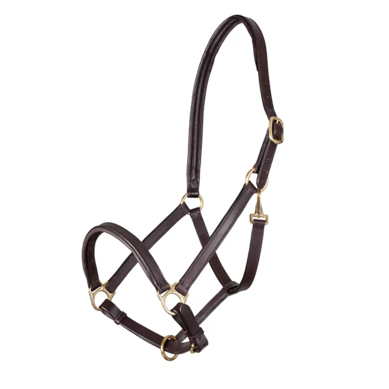 Velociti Gara Ragley Lined Leather Headcollar in Black-1