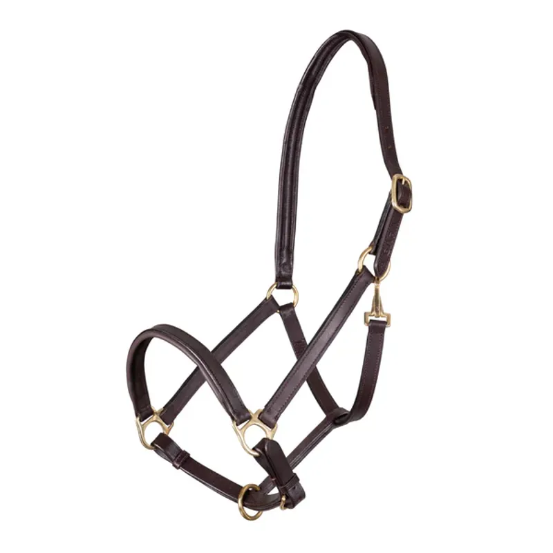 Velociti Gara Ragley Lined Leather Headcollar in Havana Brown-1